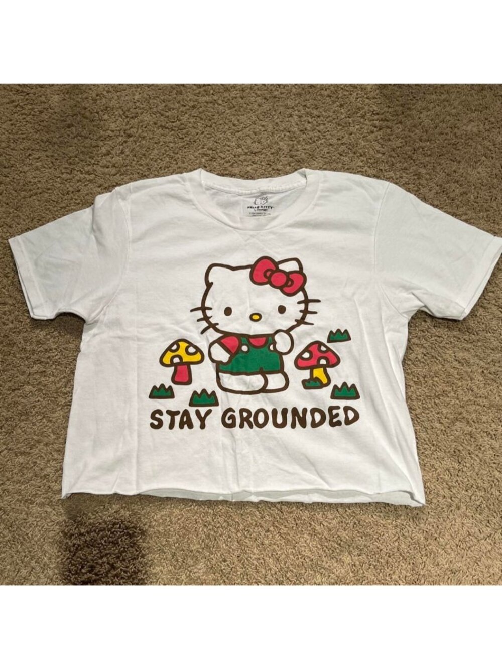 Sanrio Hello Kitty Stay Grounded Graphic Cropped Crew Neck T-Shirt White M